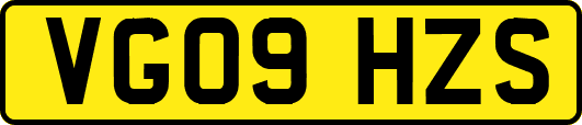 VG09HZS