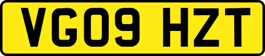 VG09HZT