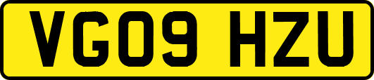 VG09HZU