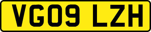 VG09LZH