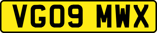 VG09MWX
