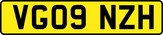 VG09NZH