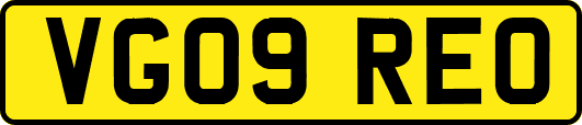 VG09REO
