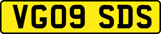 VG09SDS