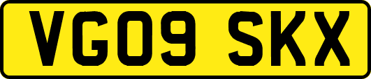 VG09SKX