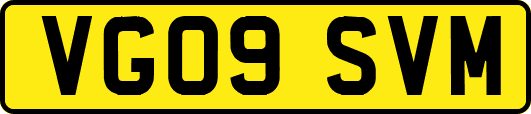 VG09SVM