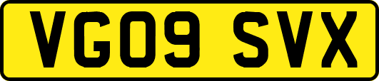 VG09SVX