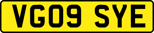 VG09SYE