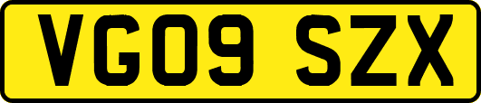 VG09SZX