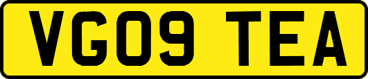 VG09TEA