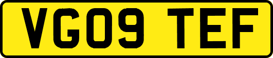 VG09TEF