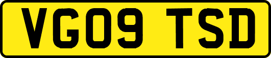 VG09TSD