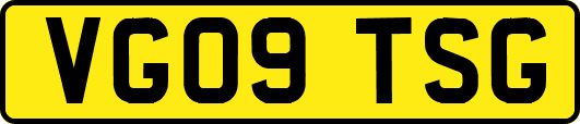 VG09TSG