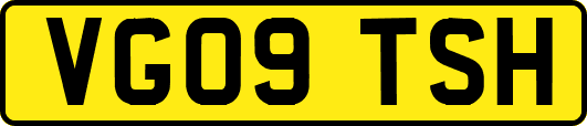 VG09TSH