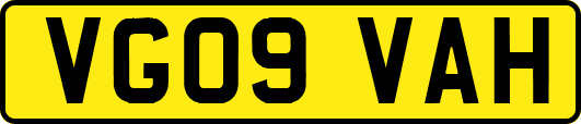 VG09VAH