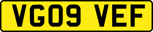 VG09VEF