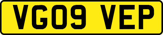 VG09VEP