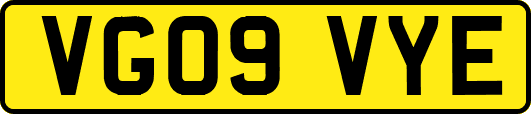 VG09VYE