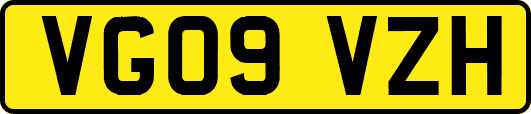 VG09VZH