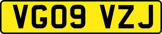 VG09VZJ