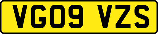 VG09VZS