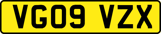 VG09VZX