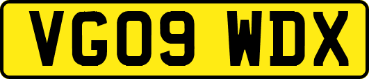 VG09WDX