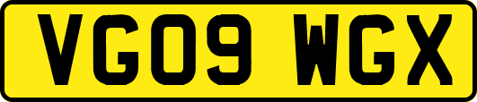 VG09WGX