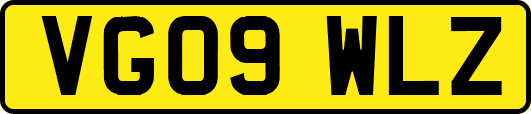 VG09WLZ