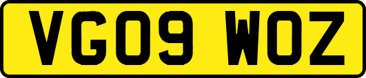 VG09WOZ