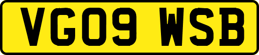 VG09WSB