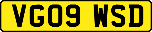 VG09WSD