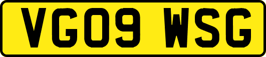 VG09WSG