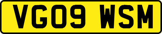 VG09WSM