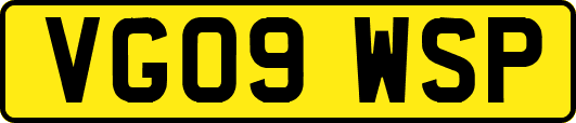 VG09WSP