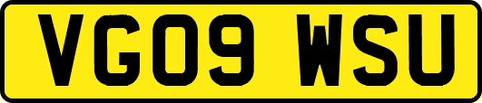 VG09WSU