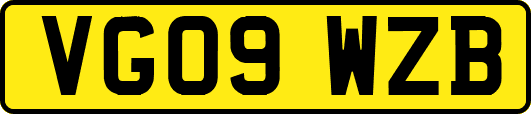 VG09WZB