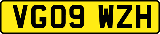 VG09WZH