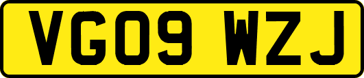 VG09WZJ