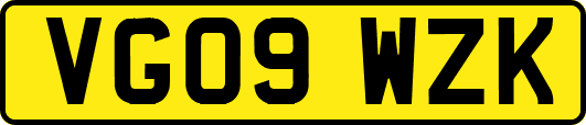VG09WZK