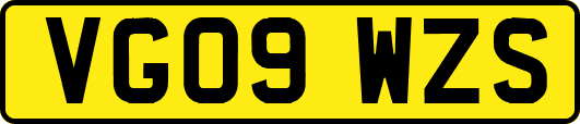 VG09WZS