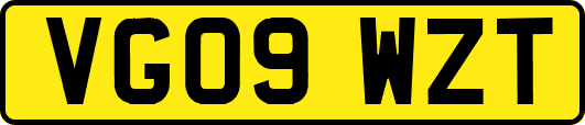 VG09WZT