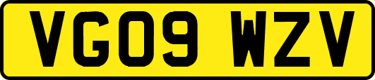 VG09WZV