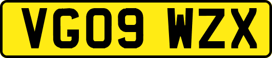 VG09WZX
