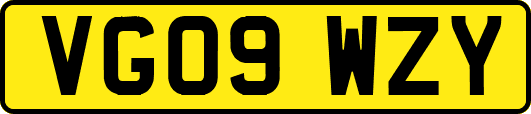 VG09WZY