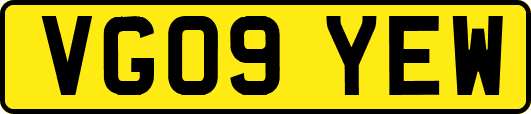 VG09YEW
