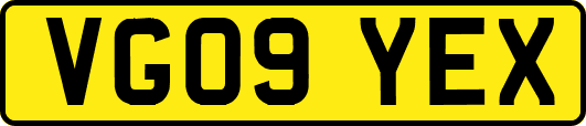 VG09YEX