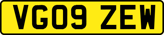 VG09ZEW