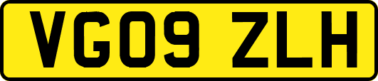 VG09ZLH