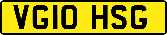 VG10HSG